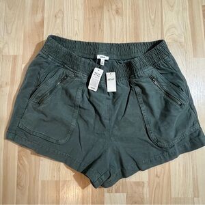Aerie Green Zippered Cargo Pocket Pull-on
Shorts Womens Large Cotton Lyocell NWT
